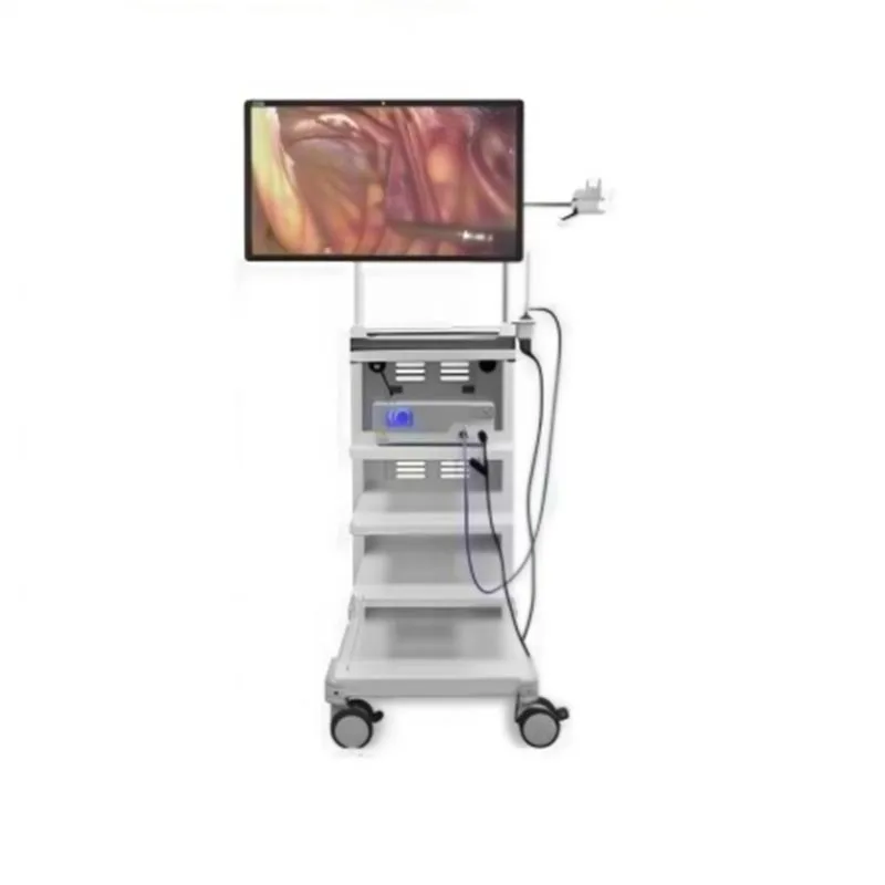 Monitor Perubatan Pembedahan 55-inci 4K