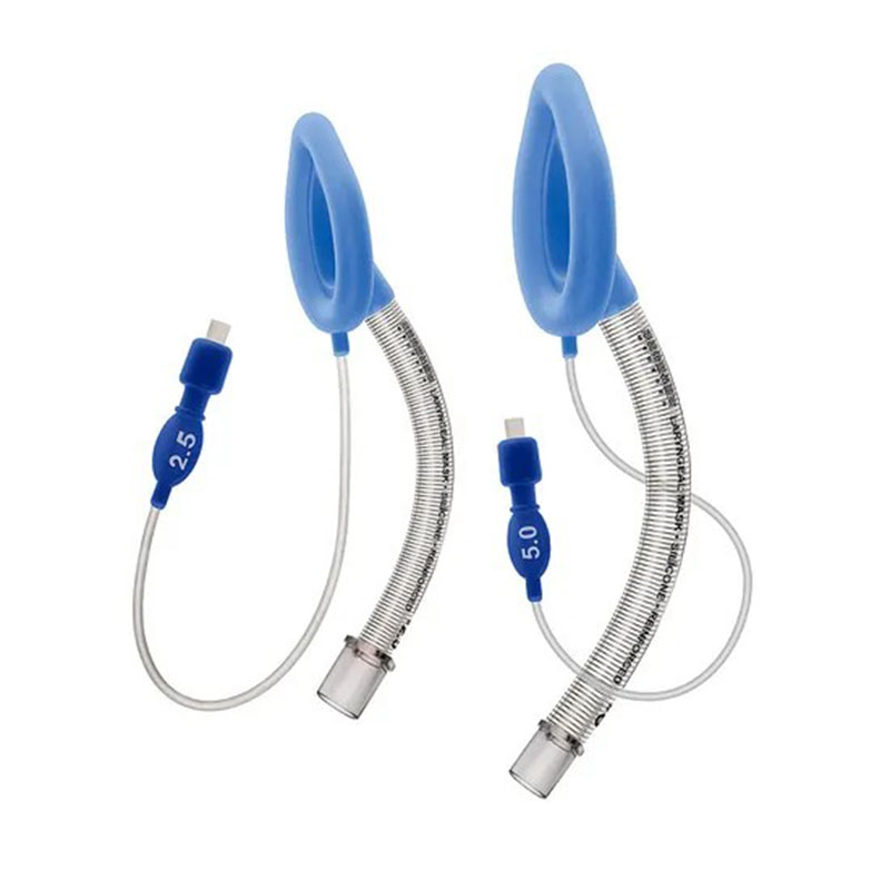 Laryngeal Mask Standard Airway