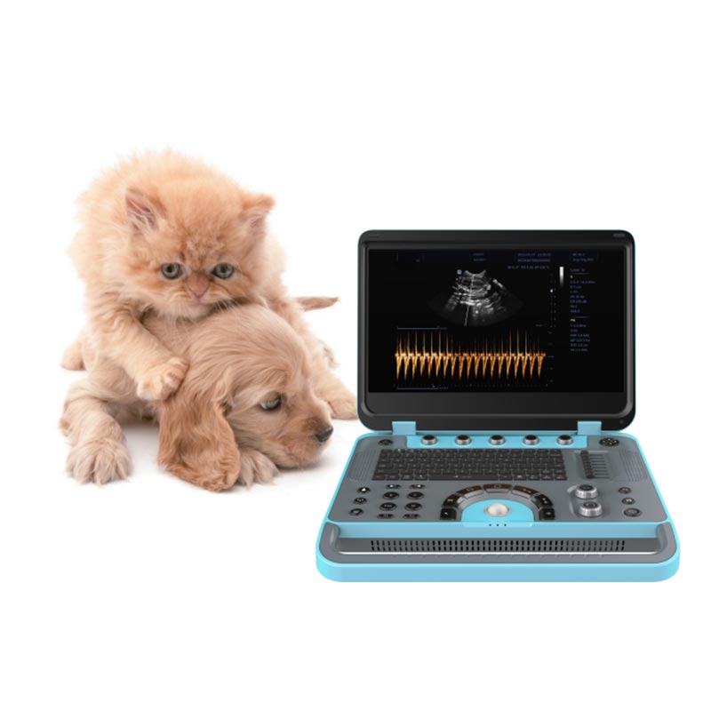 Mesin Ultrasound Veterinar